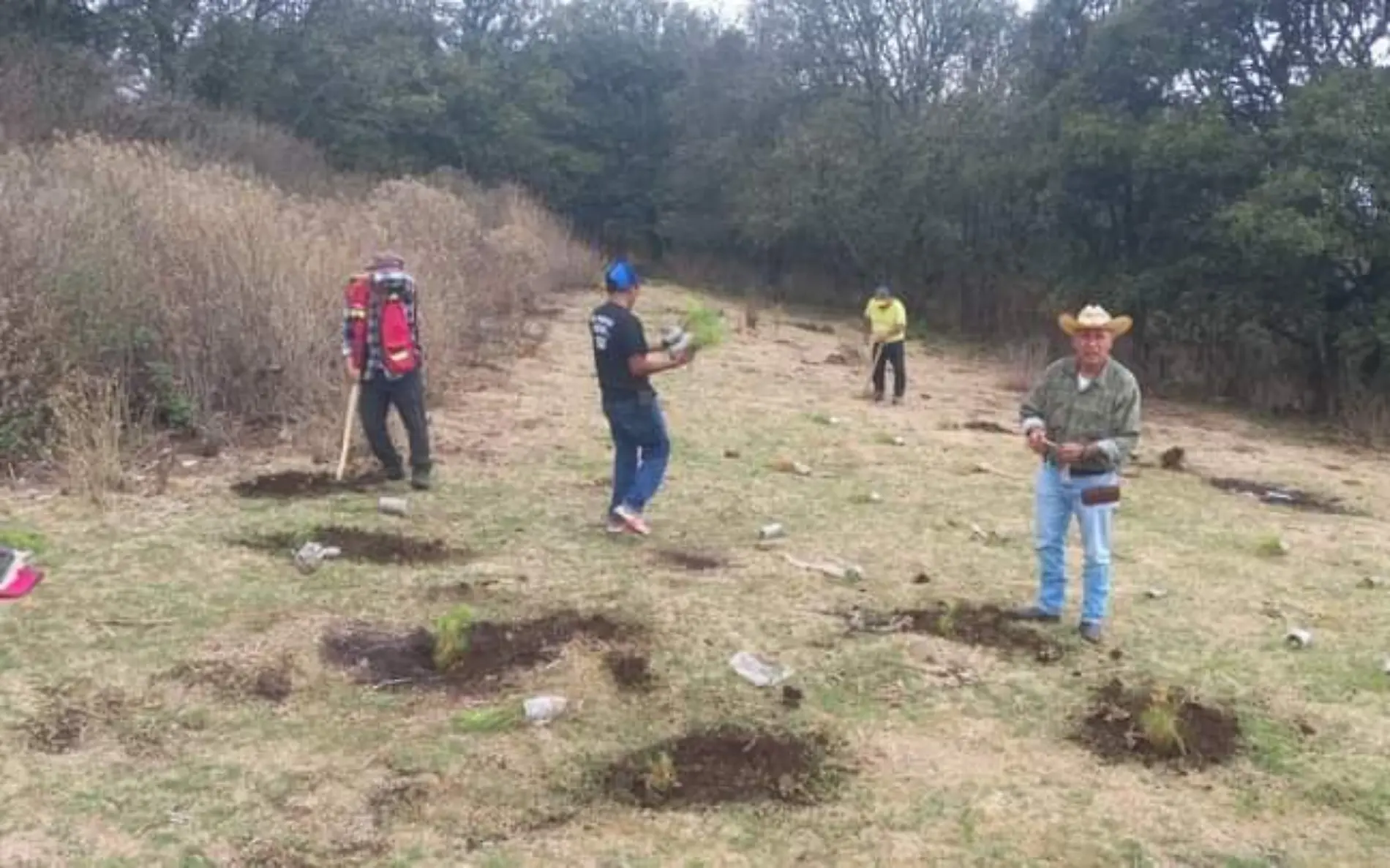 Se estan plantando